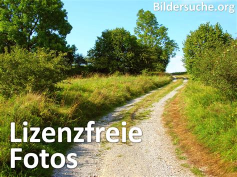 bilder kostenlos downloaden|Stock Fotos, Lizenzfreie Bilder & Kostenlose Bilder.